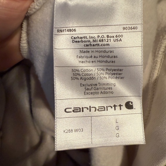 Carhartt 
LOOSE FIT MIDWEIGHT LOGO SLEEVE GRAPHIC HOODIE - Picture 3 of 3